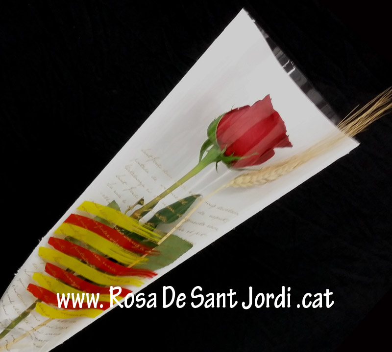 Rosa de Sant Jordi ja muntada