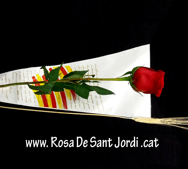 Rosa + Complements Sant Jordi